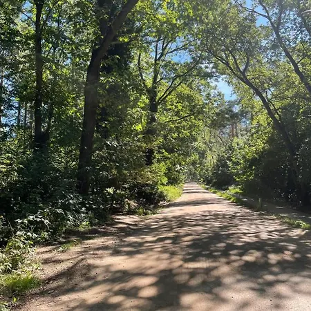 Luxe Vakantiewoning Op De Goudsberg * Lunteren