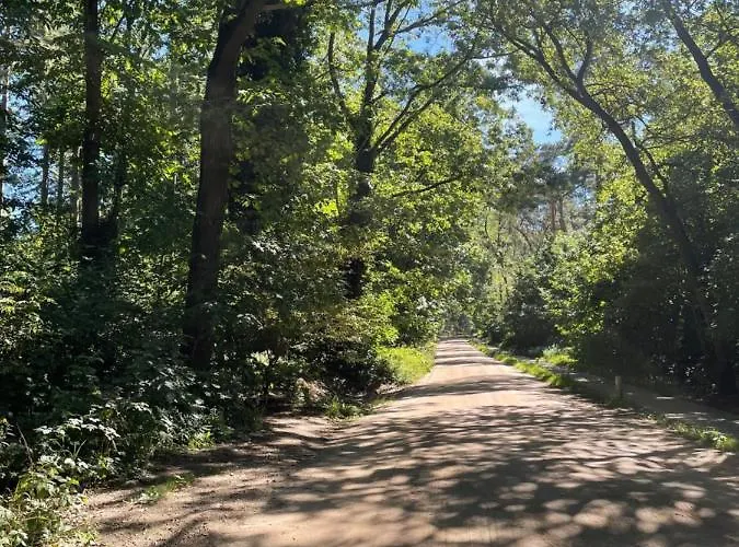 Luxe Vakantiewoning Op De Goudsberg * Lunteren